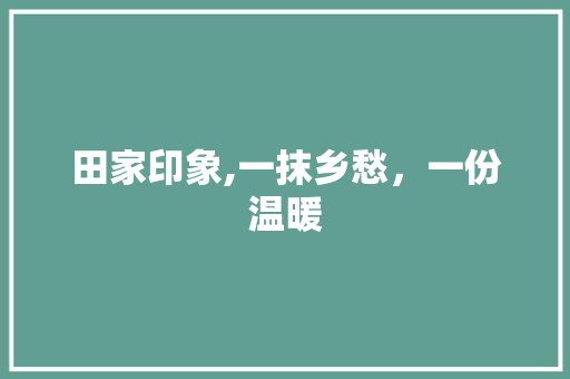 田家印象,一抹乡愁，一份温暖