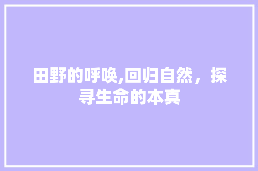 田野的呼唤,回归自然，探寻生命的本真