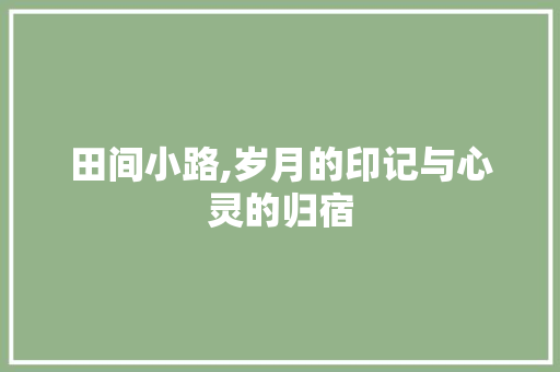 田间小路,岁月的印记与心灵的归宿