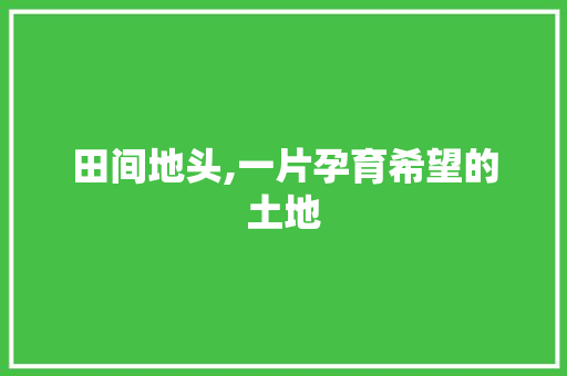 田间地头,一片孕育希望的土地