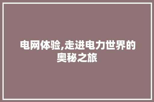 电网体验,走进电力世界的奥秘之旅