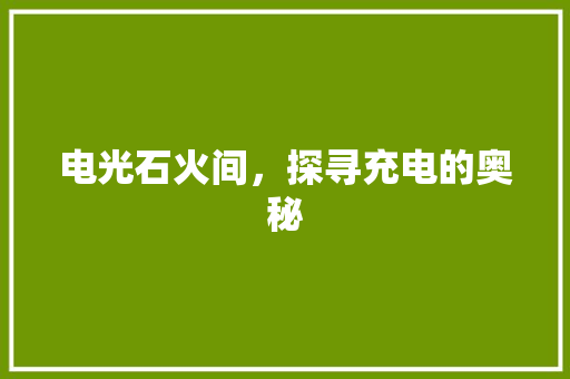 电光石火间，探寻充电的奥秘