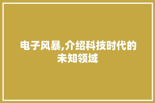 电子风暴,介绍科技时代的未知领域