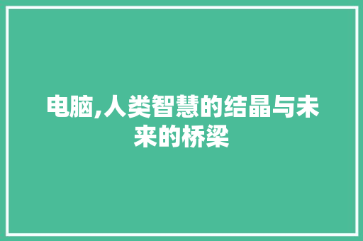 电脑,人类智慧的结晶与未来的桥梁