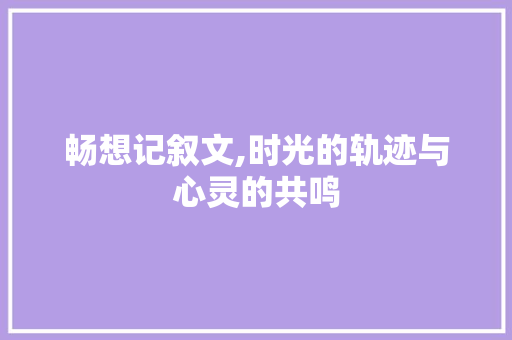 畅想记叙文,时光的轨迹与心灵的共鸣