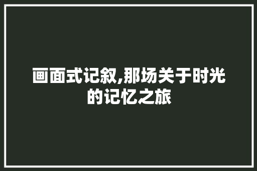 画面式记叙,那场关于时光的记忆之旅