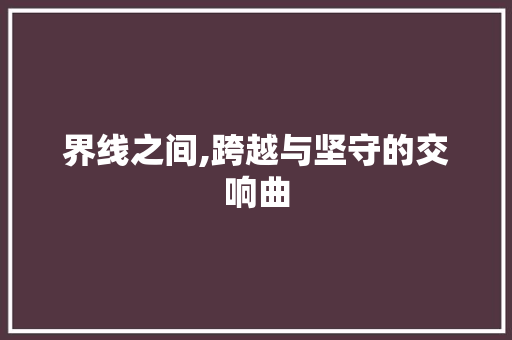 界线之间,跨越与坚守的交响曲