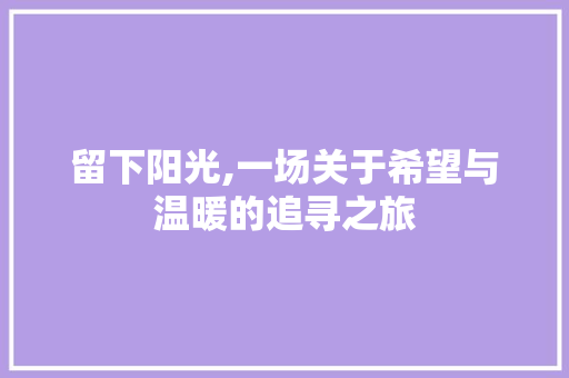 留下阳光,一场关于希望与温暖的追寻之旅