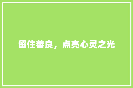 留住善良，点亮心灵之光