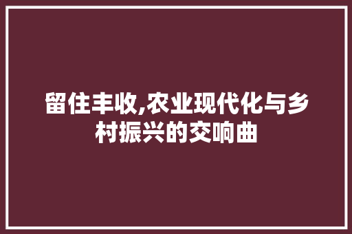 留住丰收,农业现代化与乡村振兴的交响曲