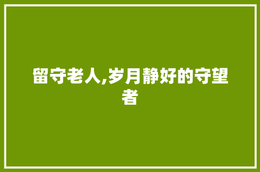 留守老人,岁月静好的守望者