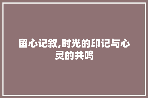 留心记叙,时光的印记与心灵的共鸣