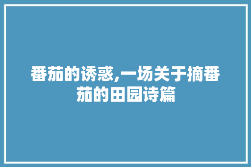 番茄的诱惑,一场关于摘番茄的田园诗篇