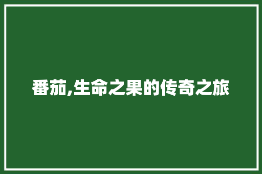 番茄,生命之果的传奇之旅