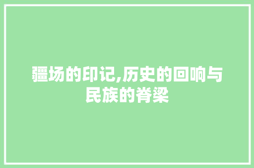 疆场的印记,历史的回响与民族的脊梁