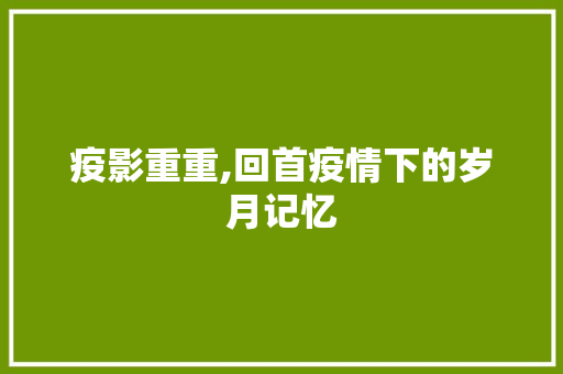 疫影重重,回首疫情下的岁月记忆