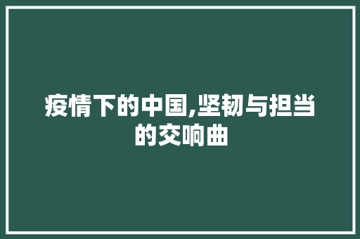 疫情下的中国,坚韧与担当的交响曲