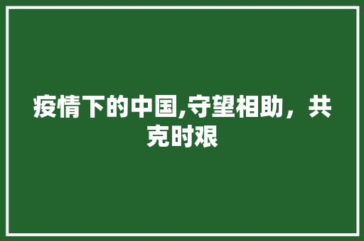 疫情下的中国,守望相助，共克时艰