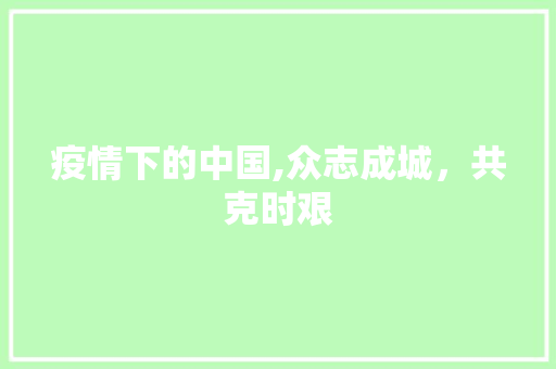 疫情下的中国,众志成城，共克时艰