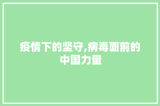 疫情下的坚守,病毒面前的中国力量