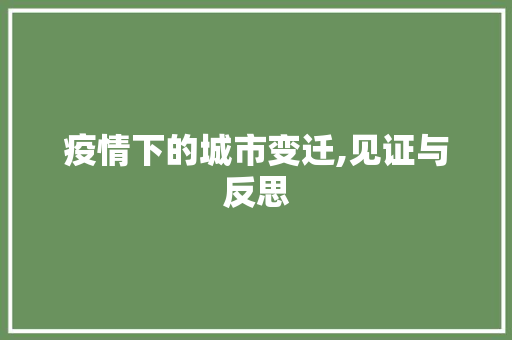 疫情下的城市变迁,见证与反思