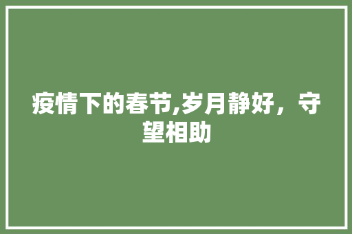 疫情下的春节,岁月静好，守望相助