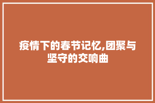 疫情下的春节记忆,团聚与坚守的交响曲