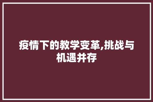 疫情下的教学变革,挑战与机遇并存