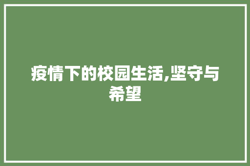 疫情下的校园生活,坚守与希望