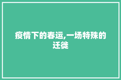 疫情下的春运,一场特殊的迁徙