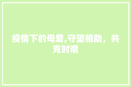 疫情下的母爱,守望相助，共克时艰