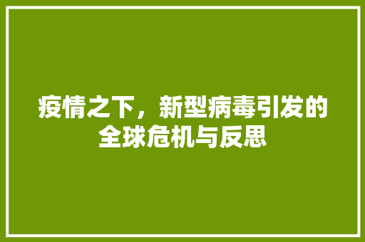 疫情之下，新型病毒引发的全球危机与反思