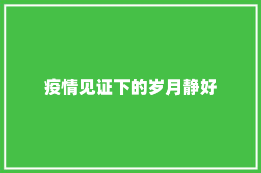 疫情见证下的岁月静好