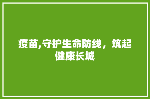 疫苗,守护生命防线，筑起健康长城