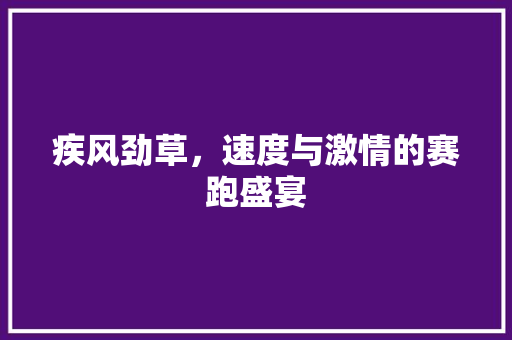 疾风劲草，速度与激情的赛跑盛宴