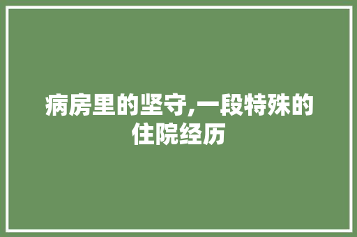 病房里的坚守,一段特殊的住院经历