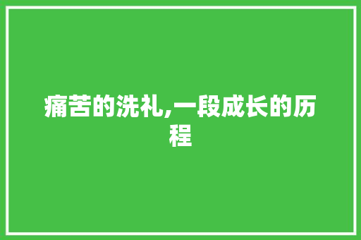 痛苦的洗礼,一段成长的历程