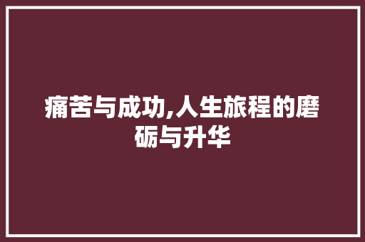 痛苦与成功,人生旅程的磨砺与升华