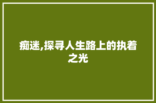 痴迷,探寻人生路上的执着之光