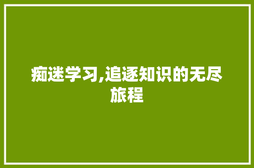 痴迷学习,追逐知识的无尽旅程