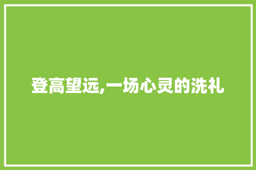 登高望远,一场心灵的洗礼