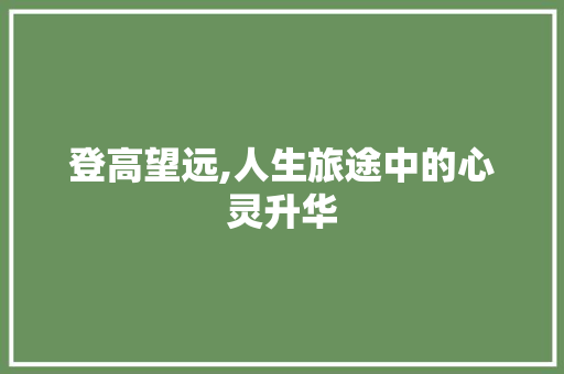 登高望远,人生旅途中的心灵升华