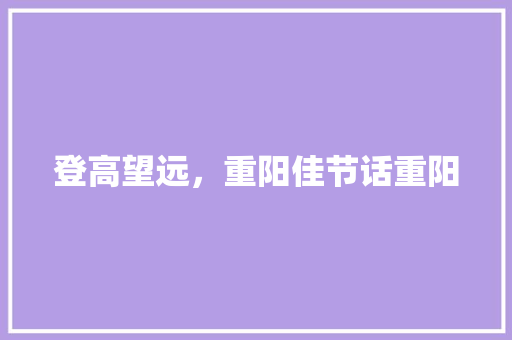 登高望远，重阳佳节话重阳