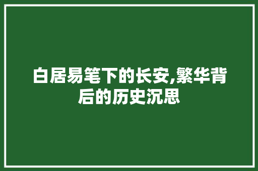 白居易笔下的长安,繁华背后的历史沉思