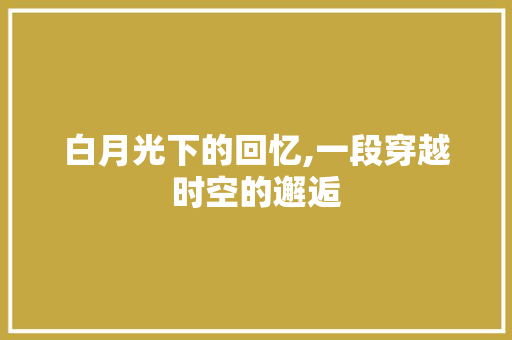 白月光下的回忆,一段穿越时空的邂逅