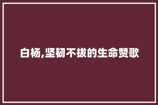 白杨,坚韧不拔的生命赞歌