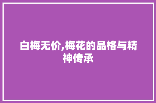 白梅无价,梅花的品格与精神传承