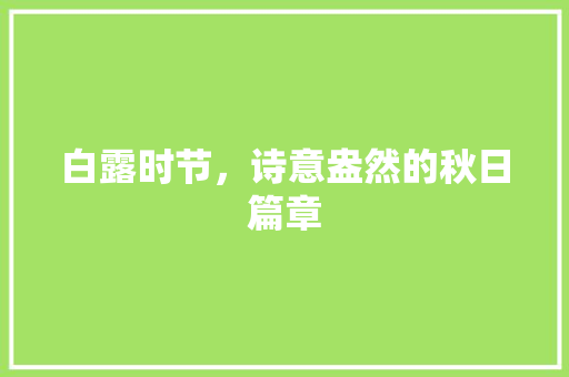 白露时节，诗意盎然的秋日篇章