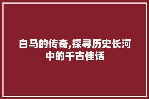 白马的传奇,探寻历史长河中的千古佳话