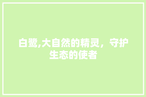 白鹭,大自然的精灵，守护生态的使者